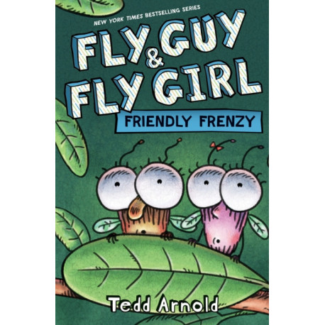 Fly Guy and Fly Girl: Friendly Frenzy