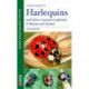 A Field Guide to Harlequins and Other Common Ladybirds of Britain and Ireland