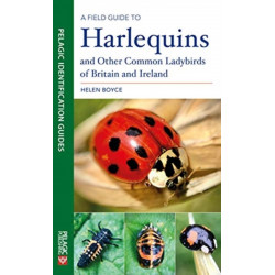 A Field Guide to Harlequins and Other Common Ladybirds of Britain and Ireland