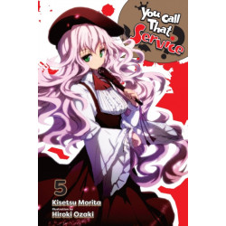 You Call That Service?, Vol. 5 (light novel)
