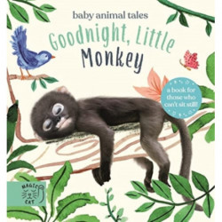 Goodnight, Little Monkey: A book for those who can’t sit still