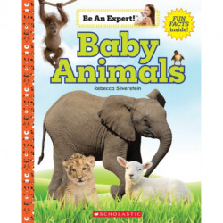 Baby Animals