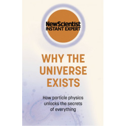 Why the Universe Exists: How particle physics unlocks the secrets of everything