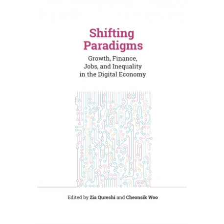 Shifting Paradigms: Growth, Finance, Jobs, and Inequality in the Digital Economy