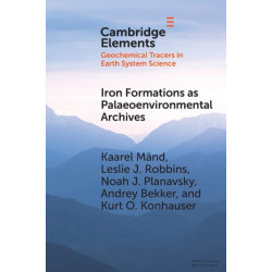 Iron Formations as Palaeoenvironmental Archives