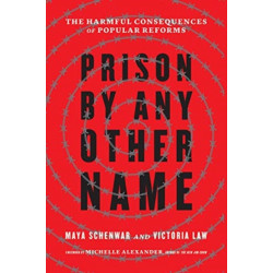 Prison by Any Other Name: The Harmful Consequences of Popular Reforms