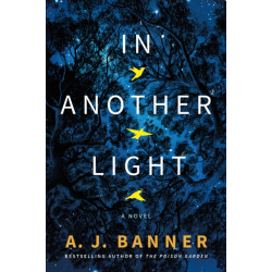 In Another Light: A Novel