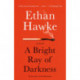 A Bright Ray of Darkness: A novel