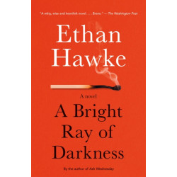 A Bright Ray of Darkness: A novel