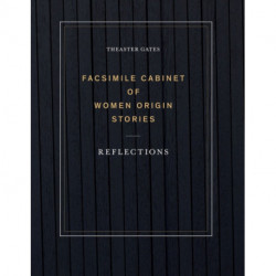 Theaster Gates: Facsimile Cabinet of Women Origin Stories: Reflections