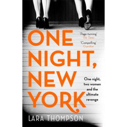 One Night, New York: 'A page turner with style' (Erin Kelly)