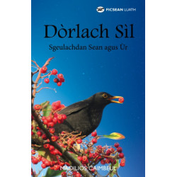 Dorlach Sil: Sgeulachdan Sean agus Ur