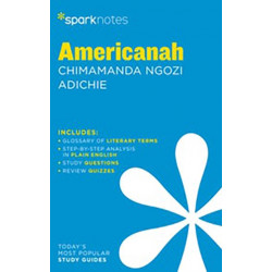 Americanah by Chimamanda Ngozi Adichie