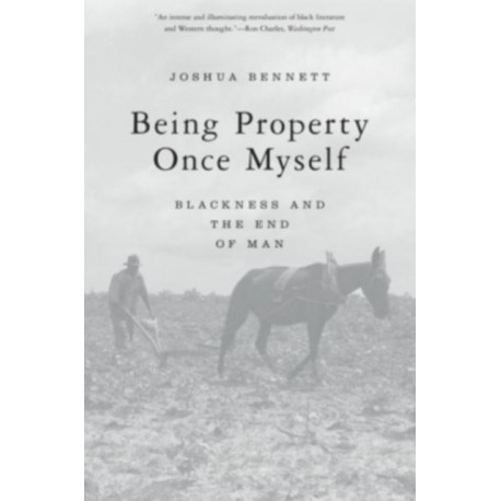 Being Property Once Myself: Blackness and the End of Man