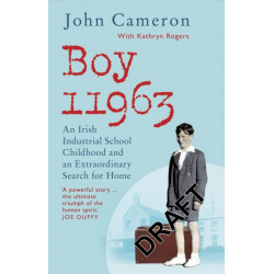 Boy 11963: An Irish Industrial School Childhood and an Extraordinary Search for Home