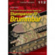 The German Armoured Infantry Support Gun Sturmpanzer Iv BrummbaR