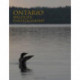 Ontario Wildlife Photography