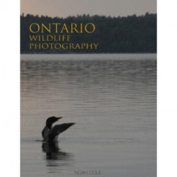 Ontario Wildlife Photography