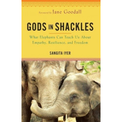 Gods in Shackles: What Elephants Can Teach Us About Empathy, Resilience and Freedom