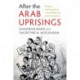 After the Arab Uprisings: Progress and Stagnation in the Middle East and North Africa