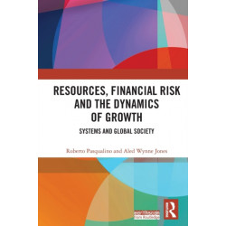 Resources, Financial Risk and the Dynamics of Growth: Systems and Global Society
