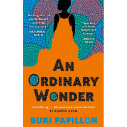An Ordinary Wonder: Heartbreaking and charming coming-of-age fiction about love, loss and taking chances