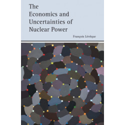 The Economics and Uncertainties of Nuclear Power