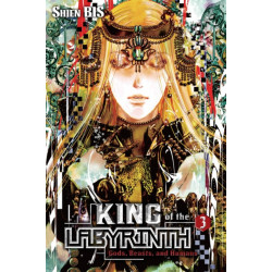 King of the Labyrinth, Vol. 3 (light novel)