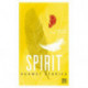 Spirit: Huawei Stories