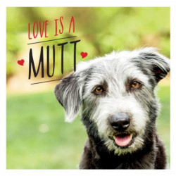 Love is a Mutt: A Dog-Tastic Celebration of the World's Cutest Mixed and Cross Breeds