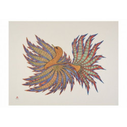 AOUDLA PUDLAT DANCING BIRDS BOXED NOTECA
