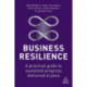 Business Resilience: A Practical Guide to Sustained Progress Delivered at Pace