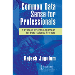 Common Data Sense for Professionals: A Process-Oriented Approach for Data-Science Projects