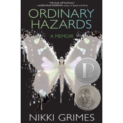 Ordinary Hazards: A Memoir