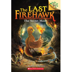 The Secret Maze: A Branches Book (The Last Firehawk -10): A Branches Book