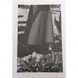 Si mes larmes coulaient dans tes yeux