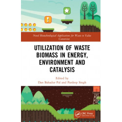 Utilization of Waste Biomass in Energy, Environment and Catalysis