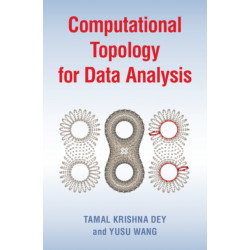 Computational Topology for Data Analysis