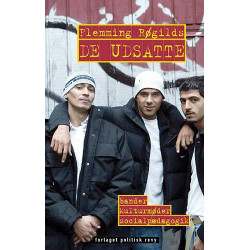 De udsatte: Bander, kulturmøder, socialpædagogik