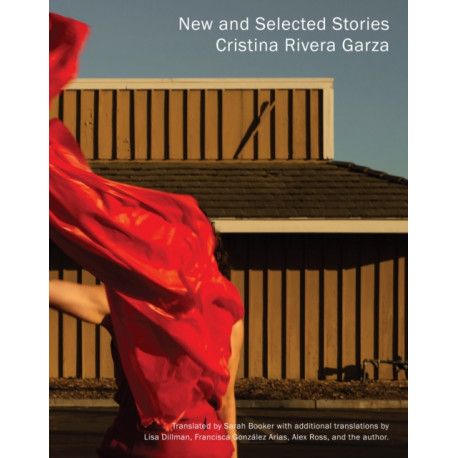 New and Selected Stories