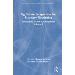 Big Picture Perspectives on Planetary Flourishing: Metatheory for the Anthropocene Volume 1