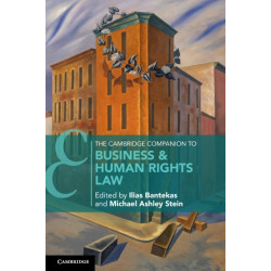 The Cambridge Companion to Business and Human Rights Law