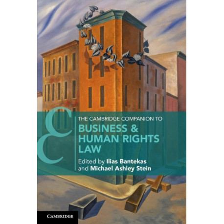 The Cambridge Companion to Business and Human Rights Law