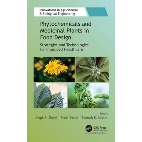 Phytochemicals and Medicinal Plants in Food Design: Strategies and Technologies for Improved Healthcare