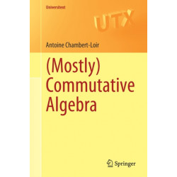 (Mostly) Commutative Algebra