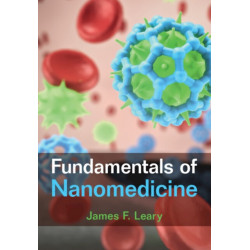 Fundamentals of Nanomedicine