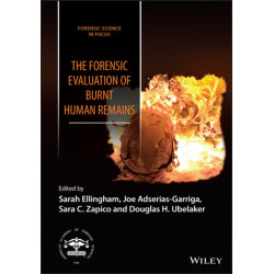 The Burnt Human Remains: Recovery, Analysis, and Interpretation