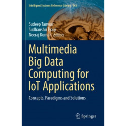 Multimedia Big Data Computing for IoT Applications: Concepts, Paradigms and Solutions