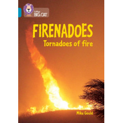 Firenadoes: Tornadoes of fire: Band 13/Topaz