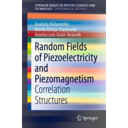 Random Fields of Piezoelectricity and Piezomagnetism: Correlation Structures